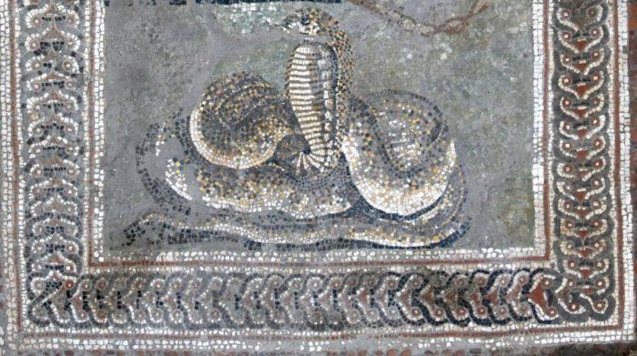Змея на мозаике Дома теперь уже Ориона / Parco archeologico di Pompeii