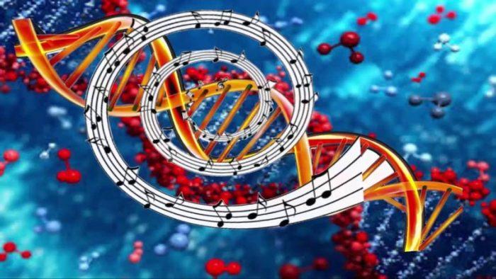 Мелодия ДНК похожа на медитативные ритмы Индии 
