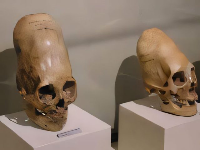 Медея Грир. РЕАЛЬНАЯ ИСТОРИЯ СЕКРЕТОВ ВАТИКАНА, КОТОРЫЕ ЦЕРКОВЬ СКРЫВАЛА ДЛЯ ВАШЕЙ ЗАЩИТЫ 4_upscayl_3x_ultrasharp-640x479